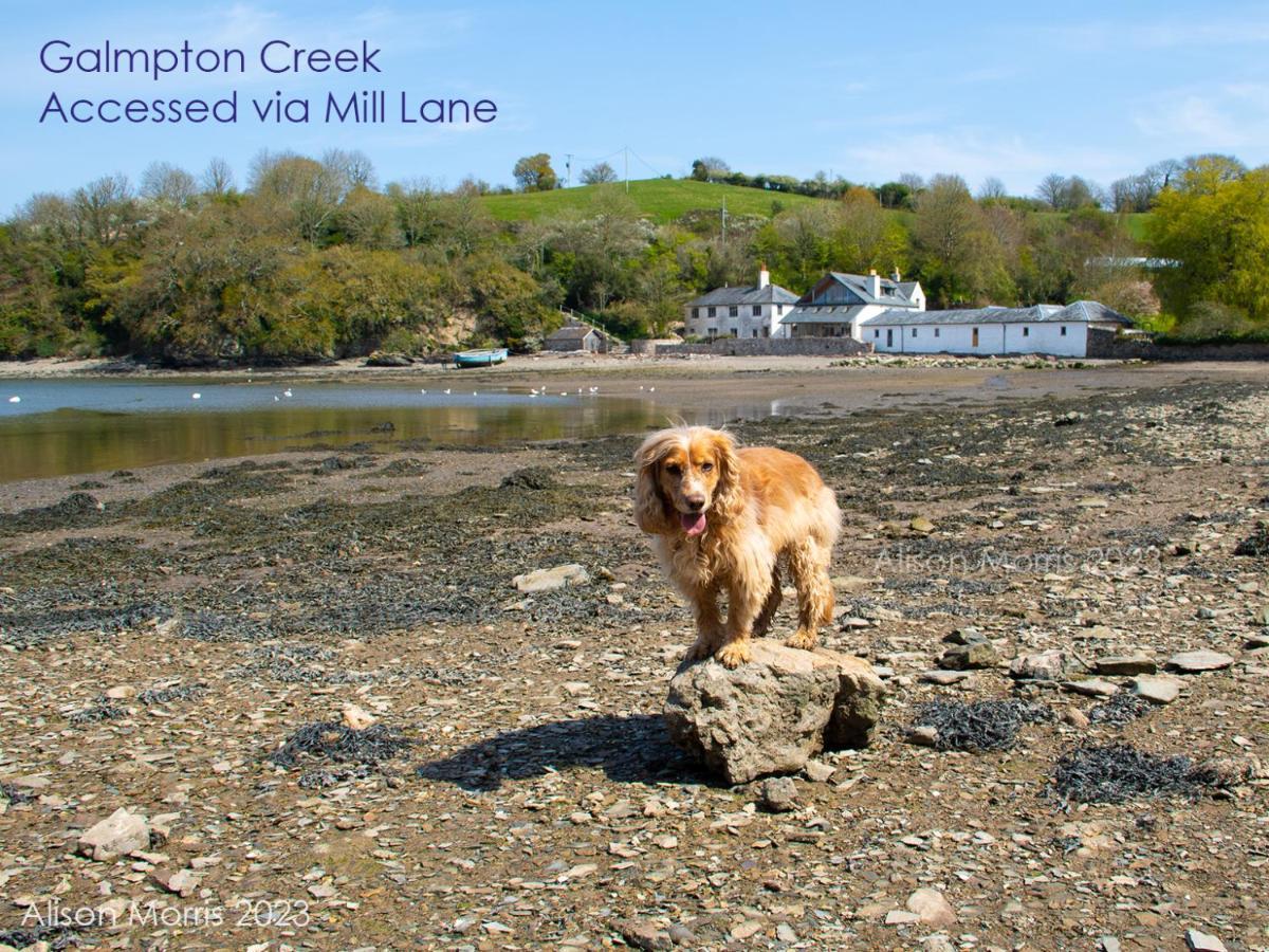 Dart Haven - Cheerful Holiday Bungalow In Galmpton Luaran gambar