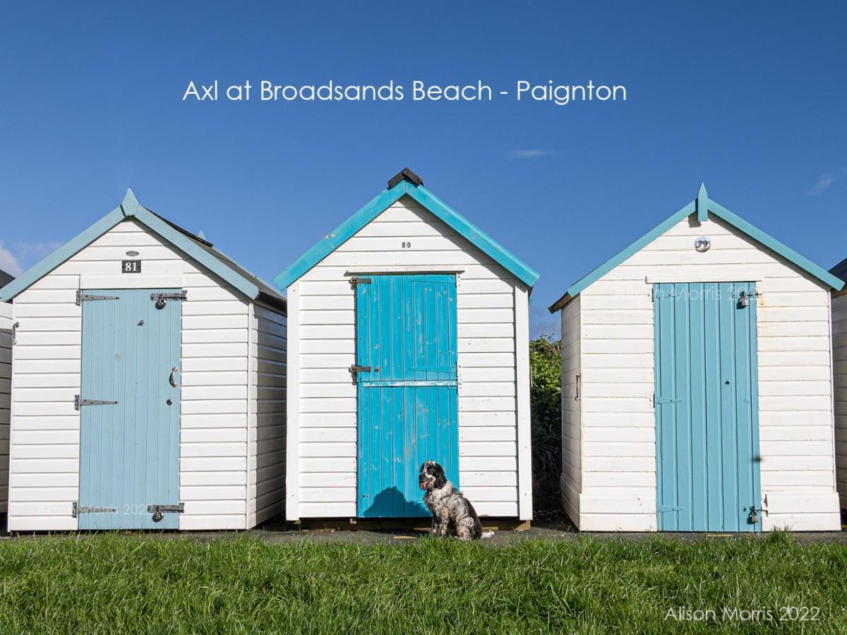 Dart Haven - Cheerful Holiday Bungalow In Galmpton Luaran gambar