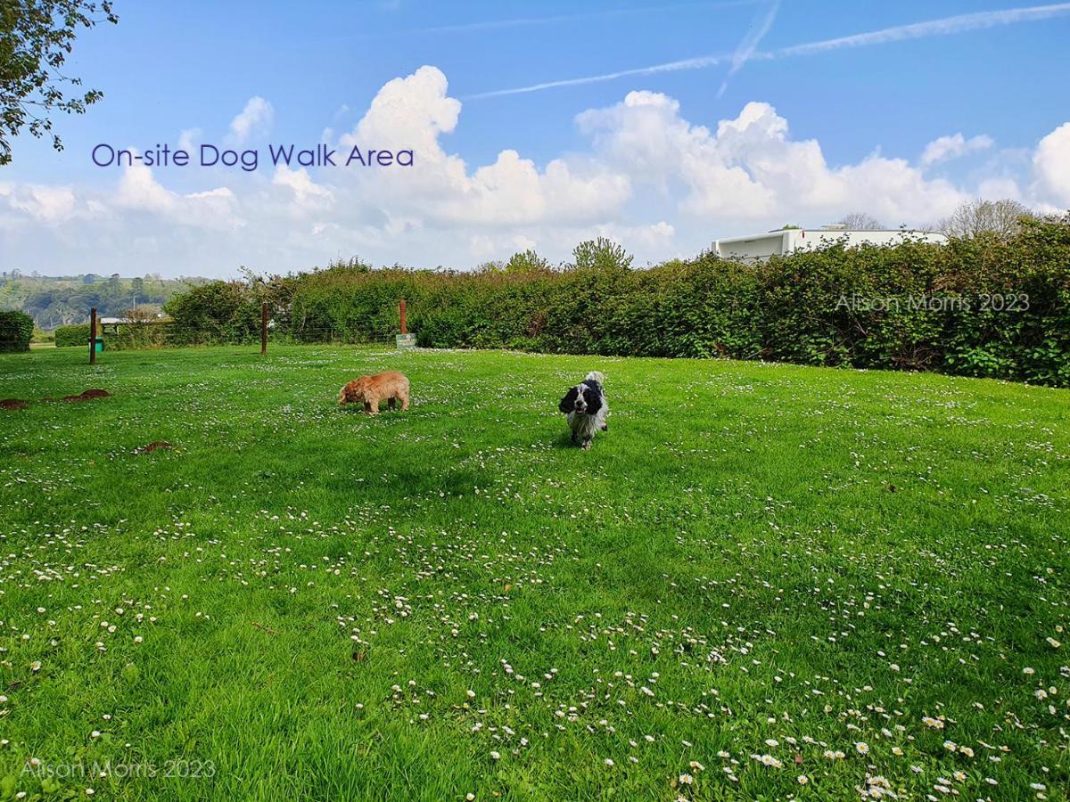 Dart Haven - Cheerful Holiday Bungalow In Galmpton Luaran gambar